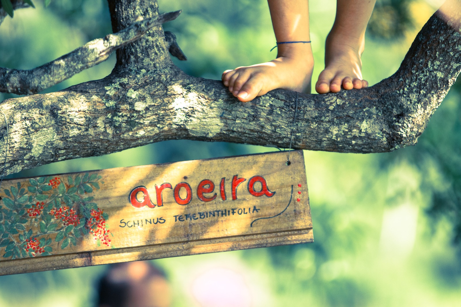 banner da home 2