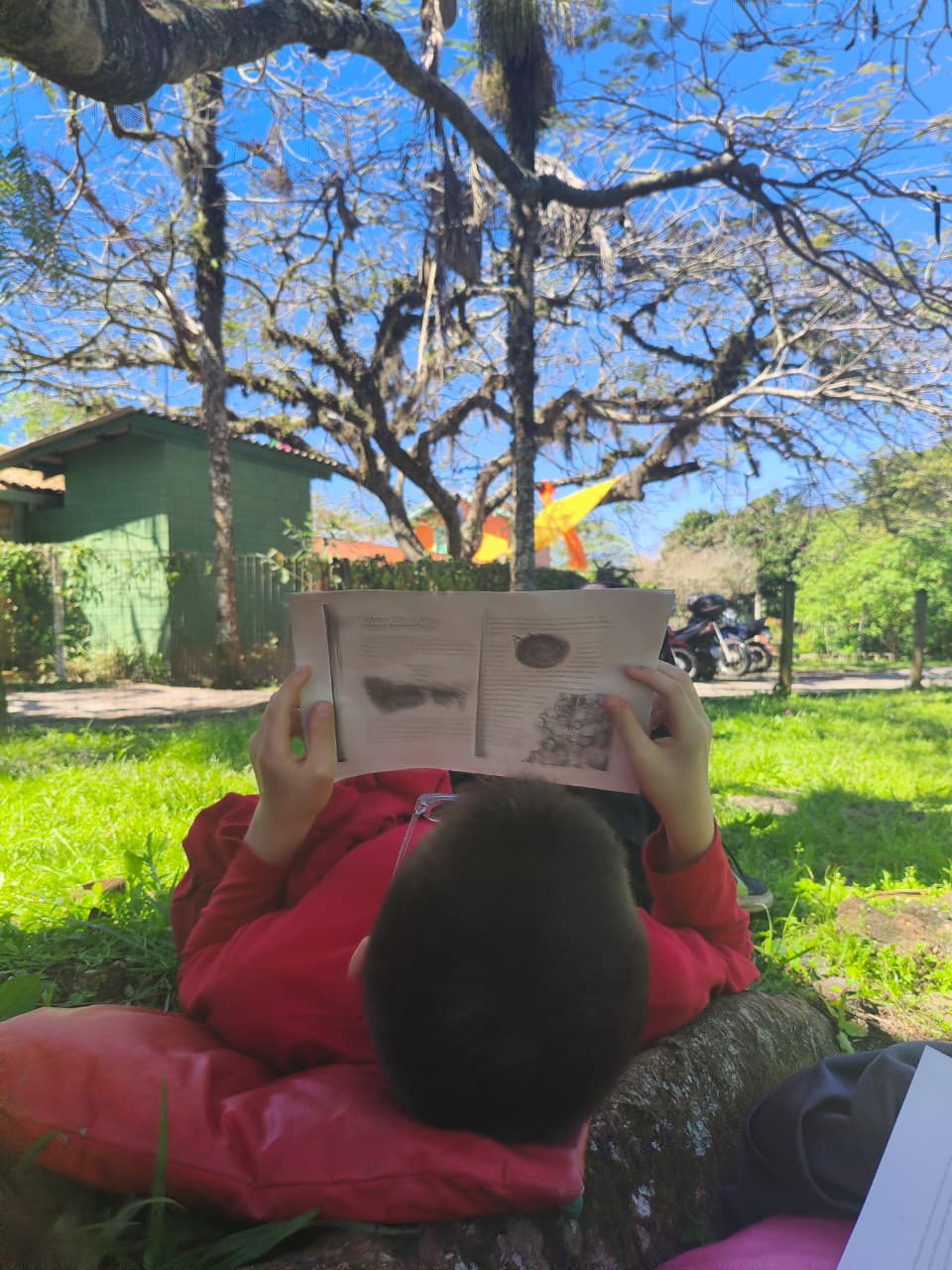 desenvolvimento criança lendo