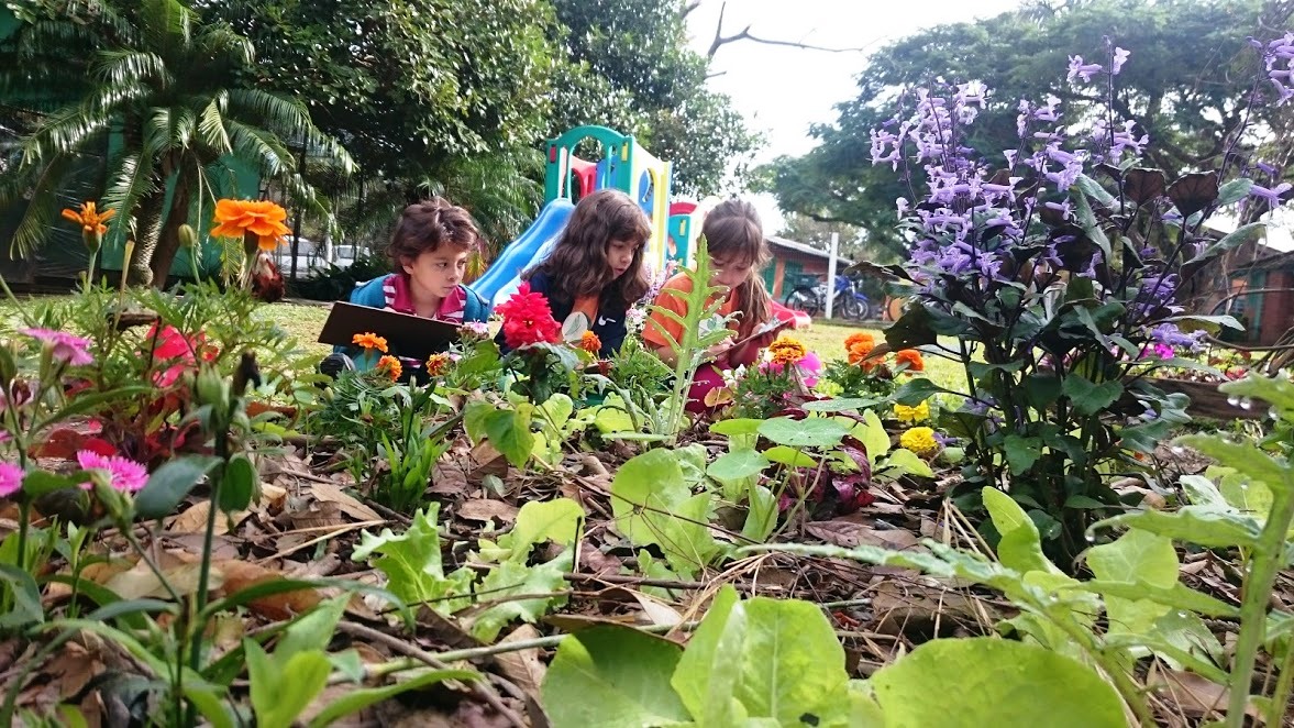 transição crianças brincando plantas